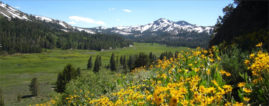 Alpine County Security