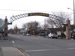 Williams security services