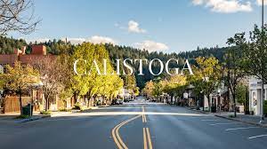 Calistoga security services