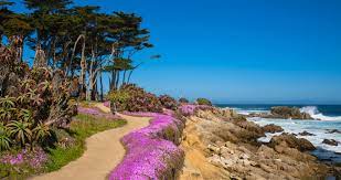 Pacific Grove Security Services