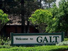 Galt Security Services