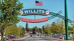 Willits security services