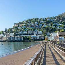 Sausalito Security Services