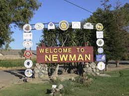 Newman Security Services