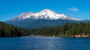 Mount Shasta Security Services