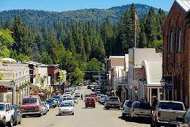 Nevada City security services