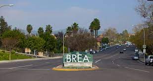 Brea Security Services