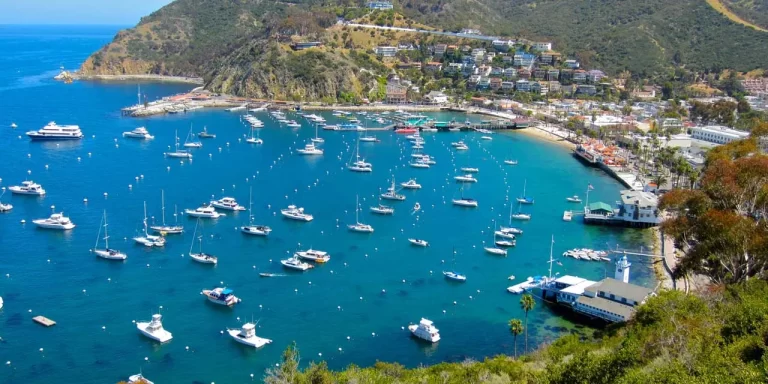 Catalina Island Security Services